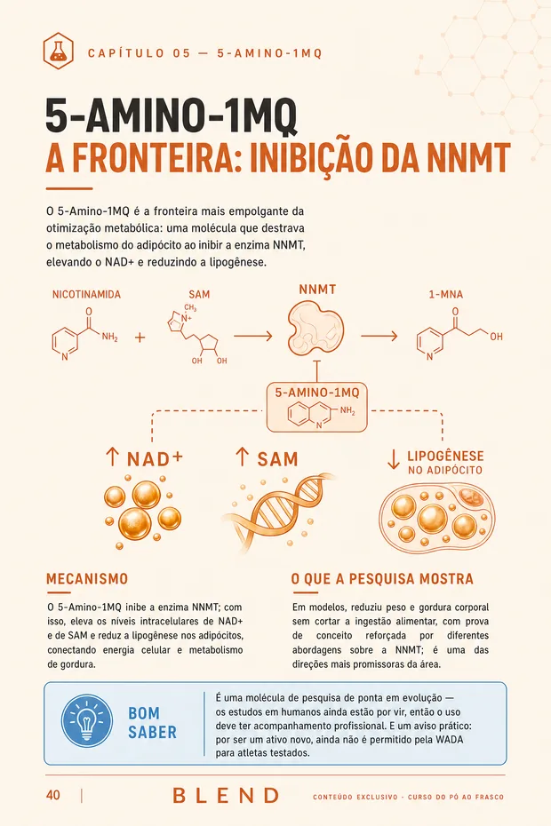 Página do ebook: o capítulo do 5-Amino-1MQ, com o mecanismo de inibição da NNMT e o que a pesquisa mostra.